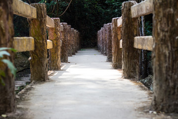 Fototapeta na wymiar Concrete bridge in the forest