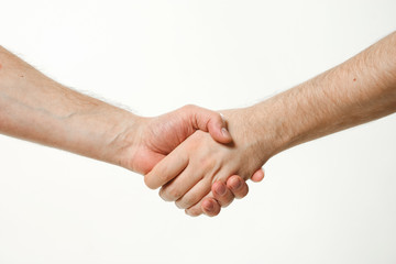 handshake of two men. hands without clothes.