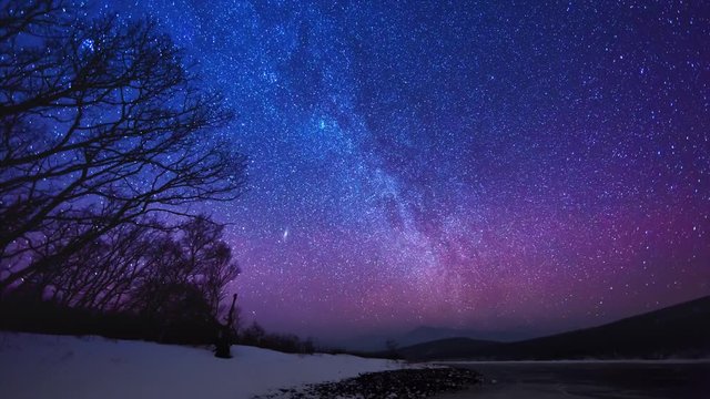 Winter forest timelapse, frosty and pure air, a night sky with millions of stars. Sikhote-Alin Nature Reserve, a biosphere reserve in Russia.