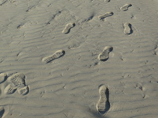 Fototapeta na wymiar orme sulla sabbia