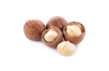 Macadamia nuts isolated on white background