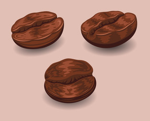 Roasted Coffee Beans