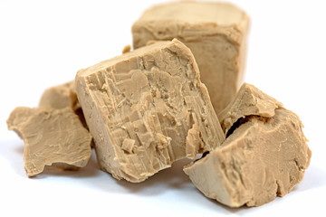 Backhefe, Saccharomyces cerevisiae