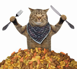 The cat with a knife and a fork is near a pile of dry food. White background.