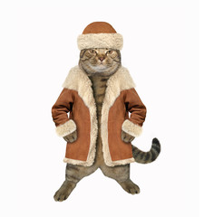 The cat is wearing a hat and winter coat. White background.