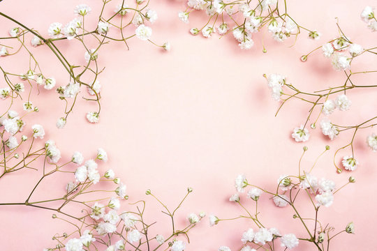 Frame Of Delicate Little White Flowers On Pink Background From Above. Space For Text.