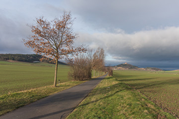 Fototapeta na wymiar Wachsenburg im Frühjahr
