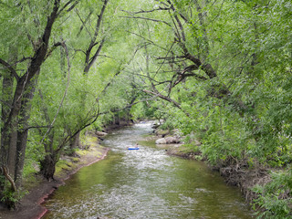 Fototapeta na wymiar Beautiful landscape along Boulder Creek