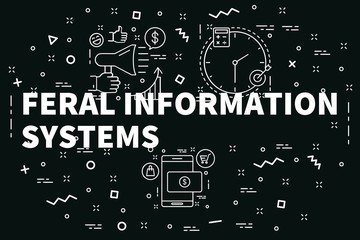Conceptual business illustration with the words feral information systems