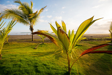 Coast in Costa Rica