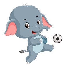 funny elephant cartoon with ball