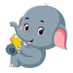 Cute elephant reading a book.