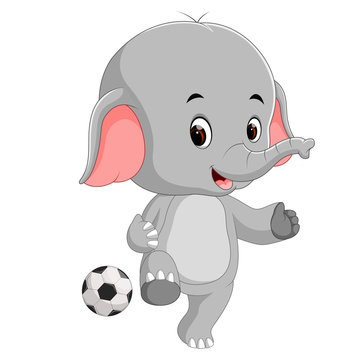 funny elephant cartoon with ball