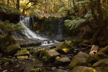 Obraz premium Horseshoe Falls in Mount Field National Park on Tasmania 