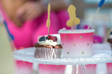 Mature content. Cheerful bride and bridesmaids party. Colorful, funny and obscene background. Cupcakes with berries and penis decorations on toothpicks