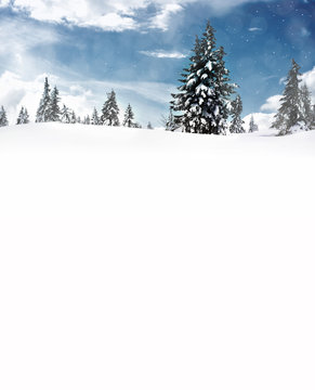 Fototapeta winter christmas landscape