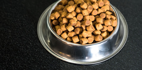 Dog food in bowl 