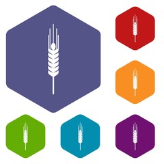 Stalk of ripe barley icons set