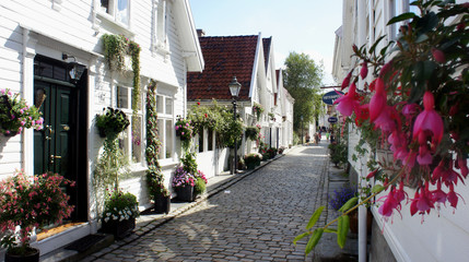 Fototapeta na wymiar Street with flowers in pots and traditional white wooden houses in Gamle Stavanger in Rogaland, Norway, sunny day