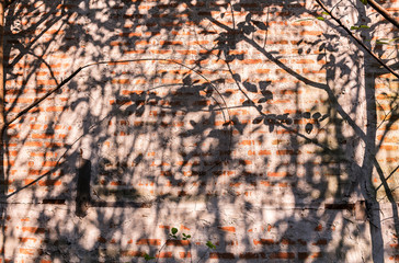 Red brick wall,Concrete wall with light and shadow texture grunge background