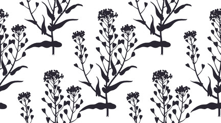 Seamless pattern with medical herbs.