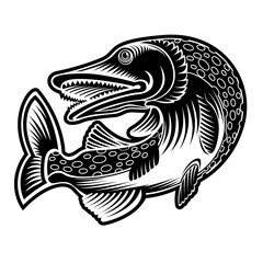 Perch or luce fish silhouette in engrving style. Logo for fishing, menu and other business