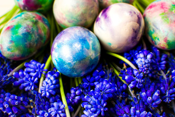 Painted Easter eggs and purple spring flowers