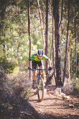 Wide angle view of a mountain biker speeding downhill on a mountain bike track in the woods