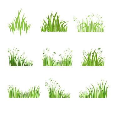 Eco green grass set