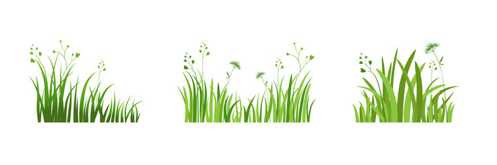 Fototapeta premium Eco green element