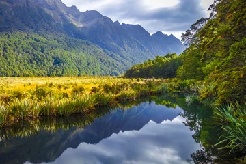 Kussenhoes Meer in het nationale park Fiordland, Nieuw-Zeeland © daboost