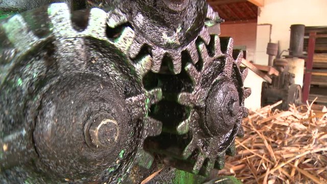 Gears of a sugar cane extracting machine