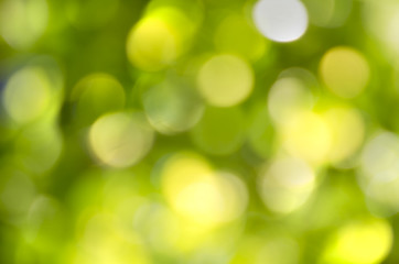Real natural bokeh for compositing or background - green color