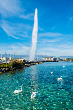 Geneve