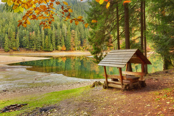 Lake in a forest with a gazebo and small pier for pleasure pedal catamaran on the lake shore.