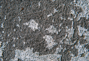 The texture of the white, battered concrete wall closeup.