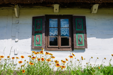 Fototapeta na wymiar Kwitnące kwiaty przed oknem chaty w skansenie w Maurzycach koło Łowicza