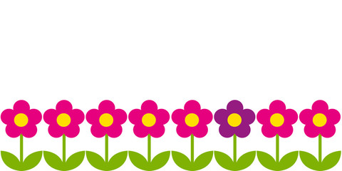 blumen reihe pink und lila