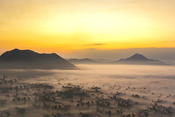 Fototapeta na wymiar Mountainous landscape with golden sky and beautiful mist,Phu Tho Chiang Khan,Loei.