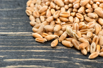 Scattered wheat grains