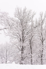 Brunico under a heavy snowfall