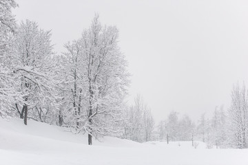 Fototapeta na wymiar Brunico under a heavy snowfall
