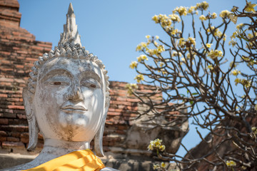 Head of a statue of Buddha
