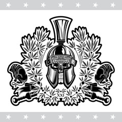 Skull in Spartan helmet front view with crossed sword between wreath and lions. Heraldic vintage label on white