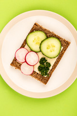 Cheese and Cucumber Open Face Rye Bread Sandwich With Radishes