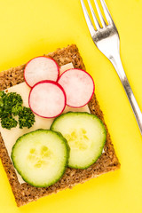 Cheese and Cucumber Open Face Rye Bread Sandwich With Radishes