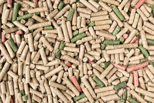 Food animal pellets for rabbit mouse or pet on top view