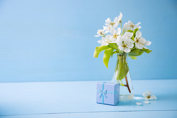 Blue little gift box and bouquet of beautiful tender white flowering branches in glass vase on blue wooden background.