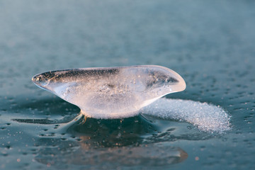 piece of ice like a bird on surface of lake Baikal