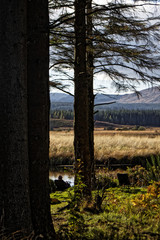 Obraz premium fishing in scotland
